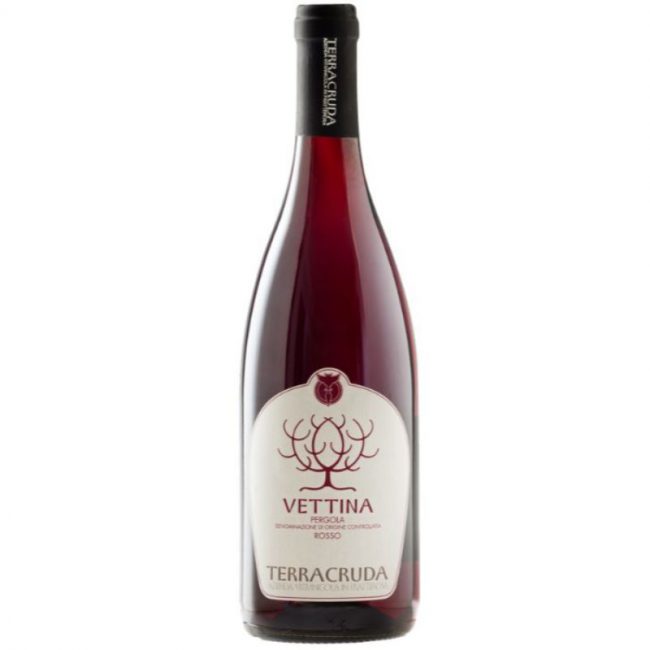 italiaanse rode wijn-vettina-terracruda-le marche-pergola rosso -regina paola - aleatico